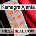 Kamagra Ajanta 26